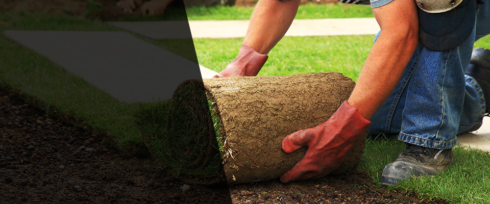 Mequon Landscapers